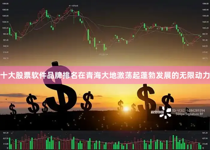 十大股票软件品牌排名在青海大地激荡起蓬勃发展的无限动力