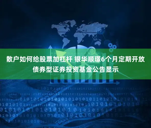 散户如何给股票加杠杆 银华顺璟6个月定期开放债券型证券投资基金公告显示